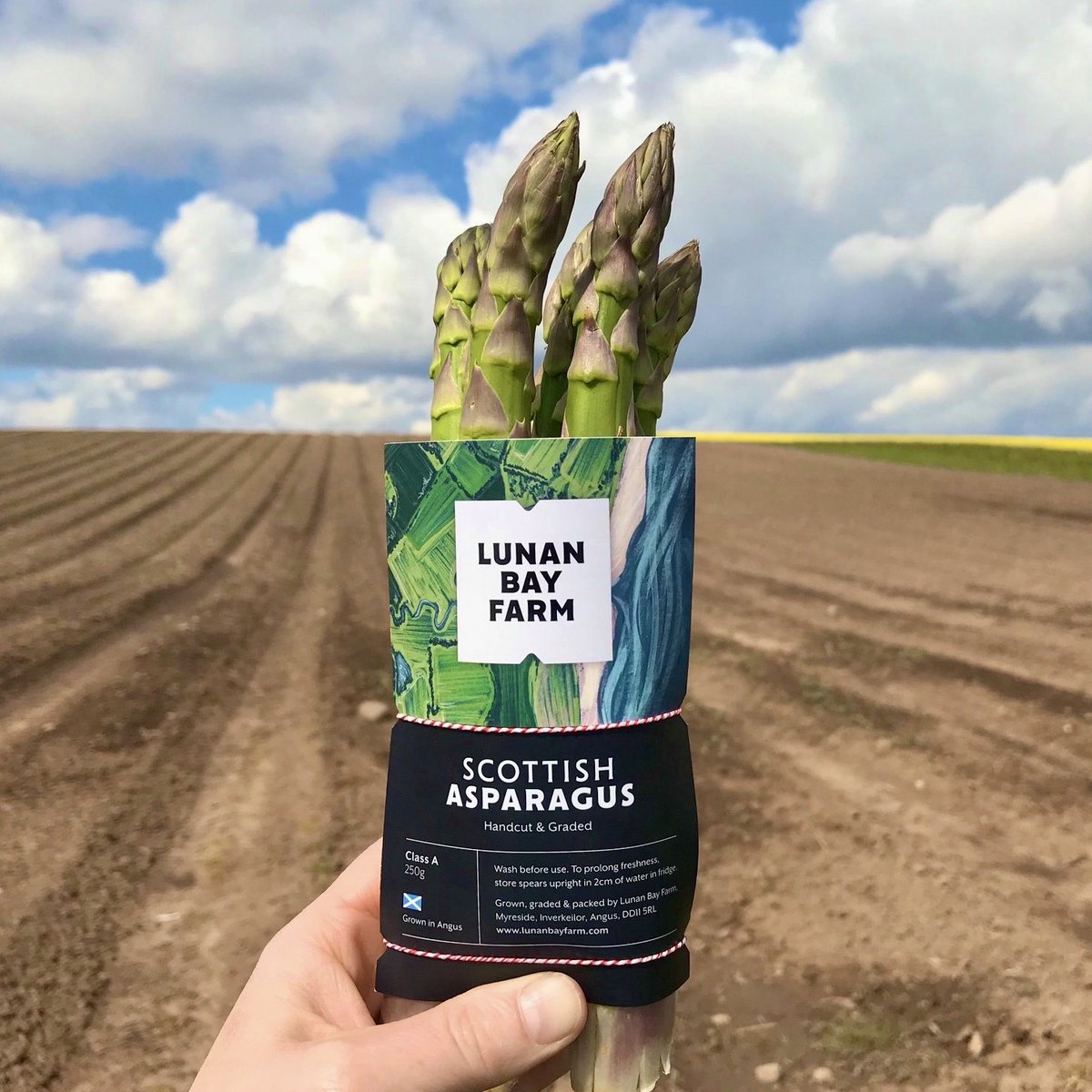 market_root's tweet photo. Coming VERY SOON 👀

The unbeatable Scottish Asparagus from Lunan Bay Farm will be back in stock from early May! They're very kindly prioritising their stockists from last year, so we will be among the first to bring this beautiful produce to you!

Watch this space... https://t.co/Oi4xvOW1Ip