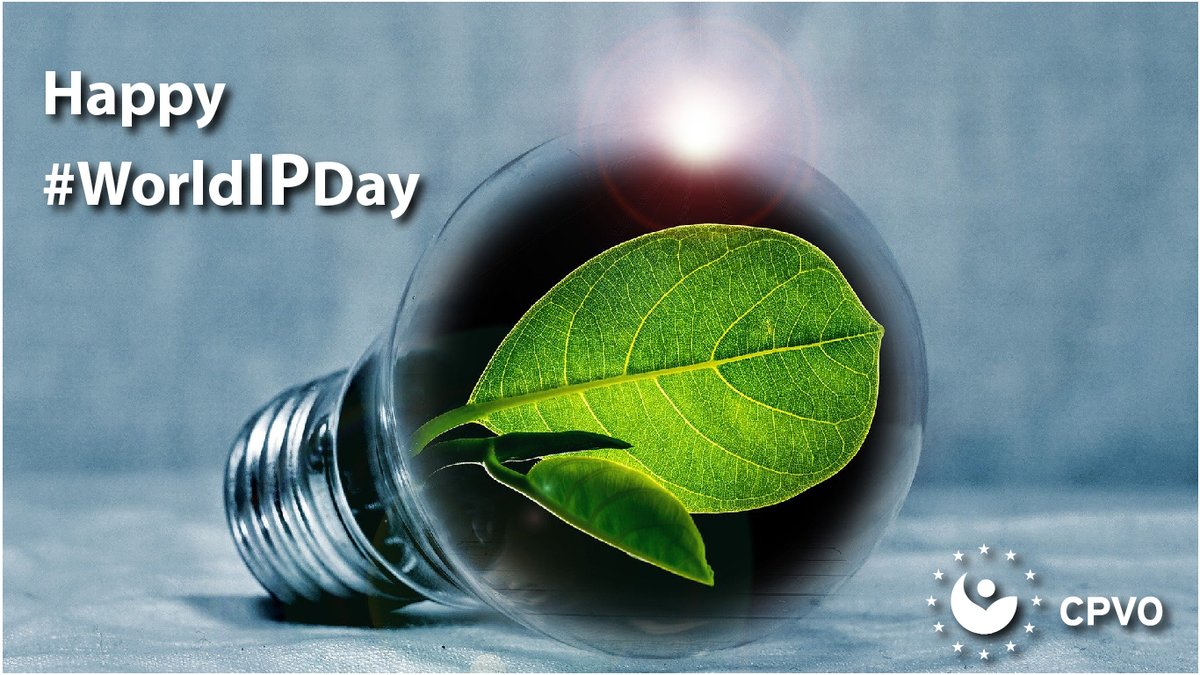 Today we celebrate the #WorldIPDay, with a focus on SMEs. Thanks to breeders, in particular SMEs, who create #NewPlantVarieties that are fit for today’s sustainable challenges. #IP & #PlantVarietyRights, protect and increase the competitiveness of those creative and innovative