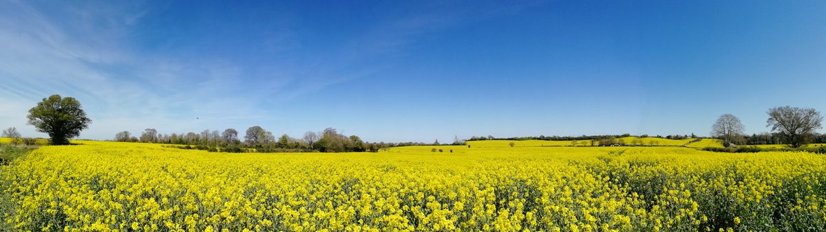 Will be heading off to see 2 clients this afternoon, one for therapy and one for coaching. Then off for another lovely walk around here... 

#hertshour #therapy #outdoors #Hitchin #hitchinbusinesses #oughtonhead #walking #lifecoaching #talkingtherapy