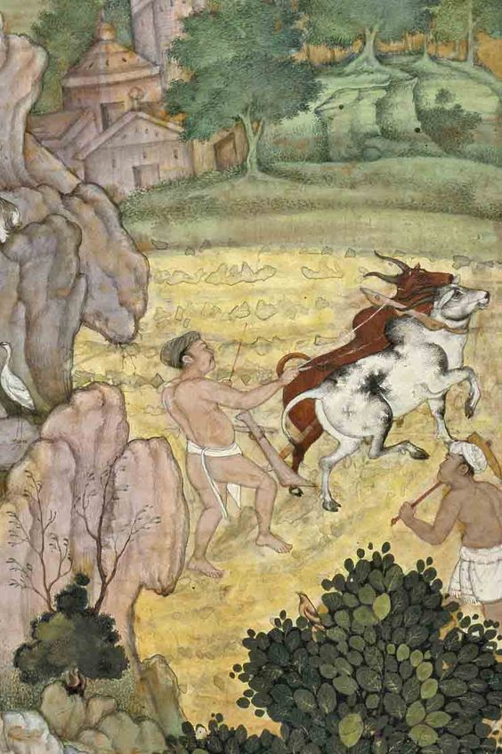 kamlesm's tweet photo. At the Well? &amp; Farmer plowing field
from Manuscript Anwar-i-Suhaili, written by Hussain Ali Waiz, Persian version of Panchatantra
BHU, Bharat Kala Bhavan @vmistweet 
from dress of lady it seems Haryana? West UP? can you guess region from Ox-bull breed? https://t.co/zm9PxUUYgo