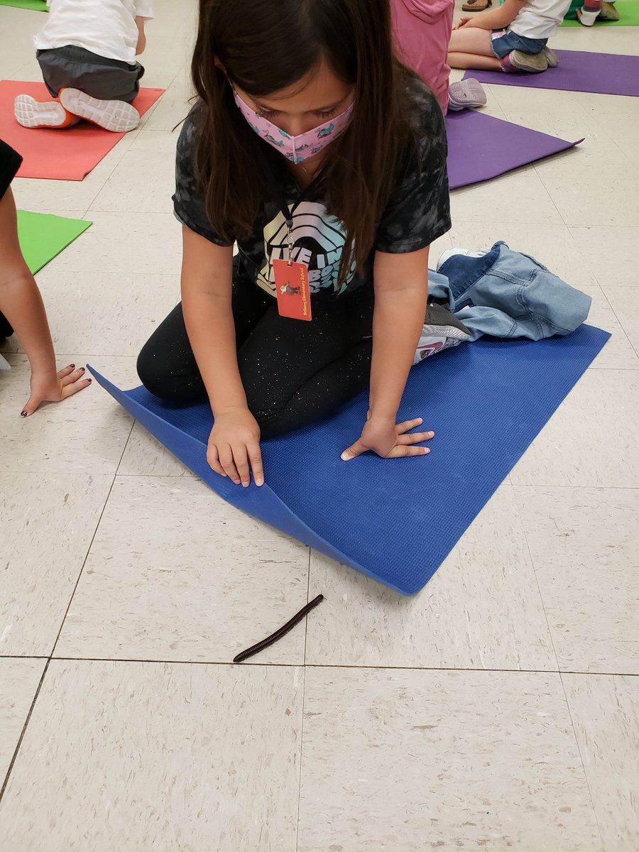 My trip down the first grade hallway today proved to be an exciting one! From Author Celebrations to millipede explorations - first graders have it going on! <a href="/TweetsBellamy/">BellamyTweets</a> <a href="/NewHanoverCoSch/">New Hanover County Schools</a> <a href="/chawkfan91/">JB Kilpatrick</a> <a href="/JannaLennon/">Janna Lennon</a> <a href="/putnam_katy/">Katy Putnam</a> <a href="/Schoolwide/">Schoolwide Inc</a> <a href="/pollack_pat/">Pat Pollack</a> <a href="/JasonJezuit/">Jason Jezuit</a>