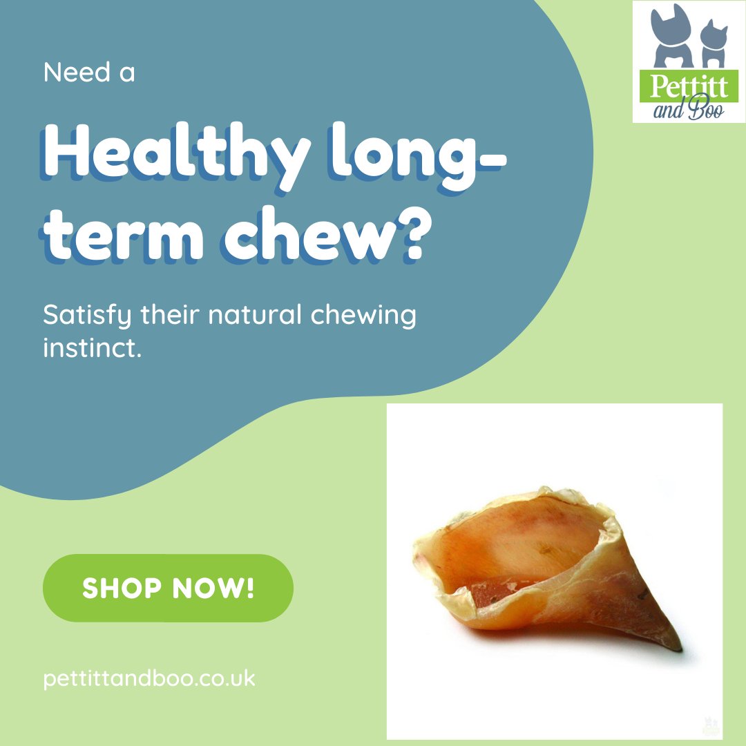 PettittBoo's tweet image. If you need a long-term chew for your dog, then a calf hoof is just the thing.  They are great for strengthening teeth and gums and can also be filled with pate, banana, or peanut butter for even more satisfaction.  Shop now:  zcu.io/wJrb #DogChews #HealthyFeeding