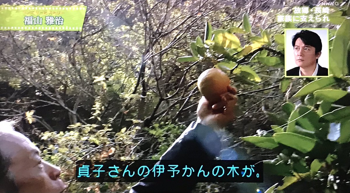 Katoppe 福山雅治さんの 祖母 貞子さんの畑に一本だけ残っていた伊予かんの木が実をつけていた ファミリーヒストリー 福山雅治
