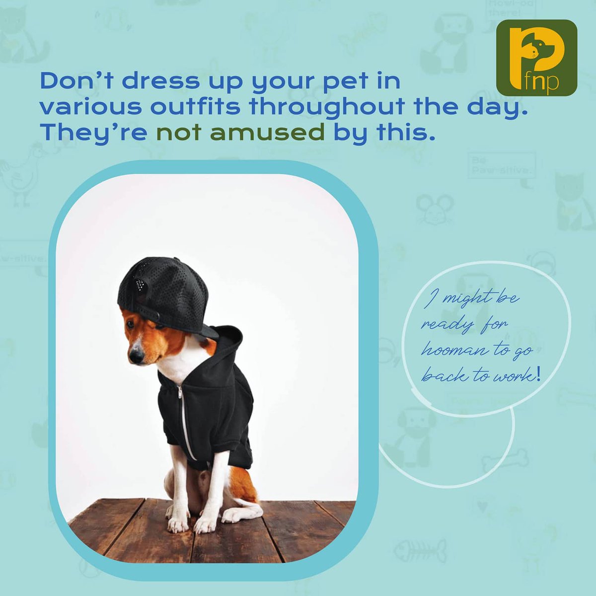 FNPPETS's tweet photo. Lockdown 101: The Pet Guide.
Things you should NOT do to your dog during the lockdown!- by @shirindogtales
 Share some pawsome moments with these little mantras. 🐶🐕

#fnppets #lockdown #doggo #petsagram #newgender #DogLover https://t.co/8fVr2lBObC