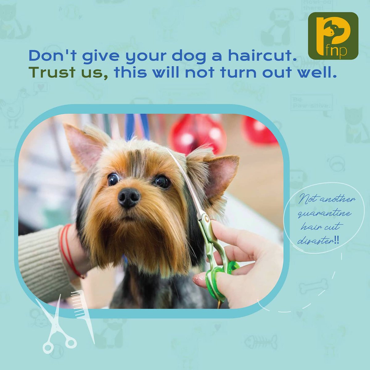 FNPPETS's tweet photo. Lockdown 101: The Pet Guide.
Things you should NOT do to your dog during the lockdown!- by @shirindogtales
 Share some pawsome moments with these little mantras. 🐶🐕

#fnppets #lockdown #doggo #petsagram #newgender #DogLover https://t.co/8fVr2lBObC