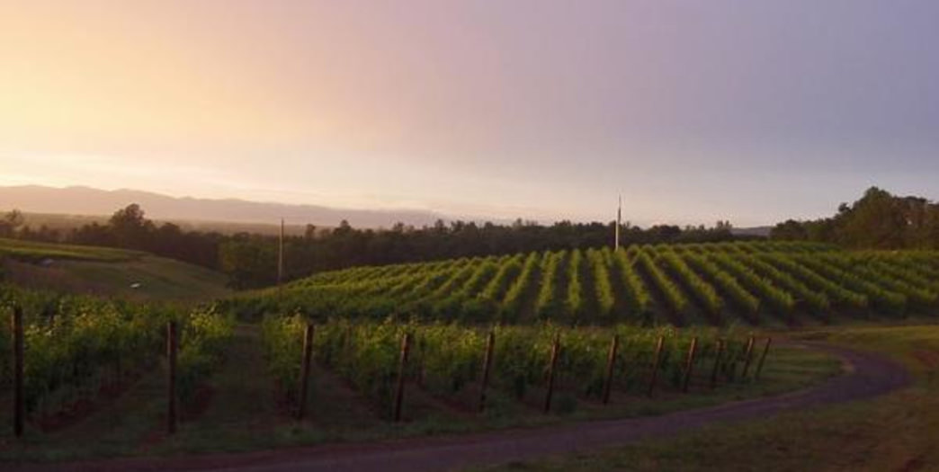 <a href="/AftonMountain/">AftonMtnVineyards</a>, <a href="/Barboursville/">Barboursville Vineyards</a> and many more places to sip and stay: bit.ly/3gq41Nd Cheers! 🍷