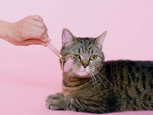 Clarify Capital tweet media