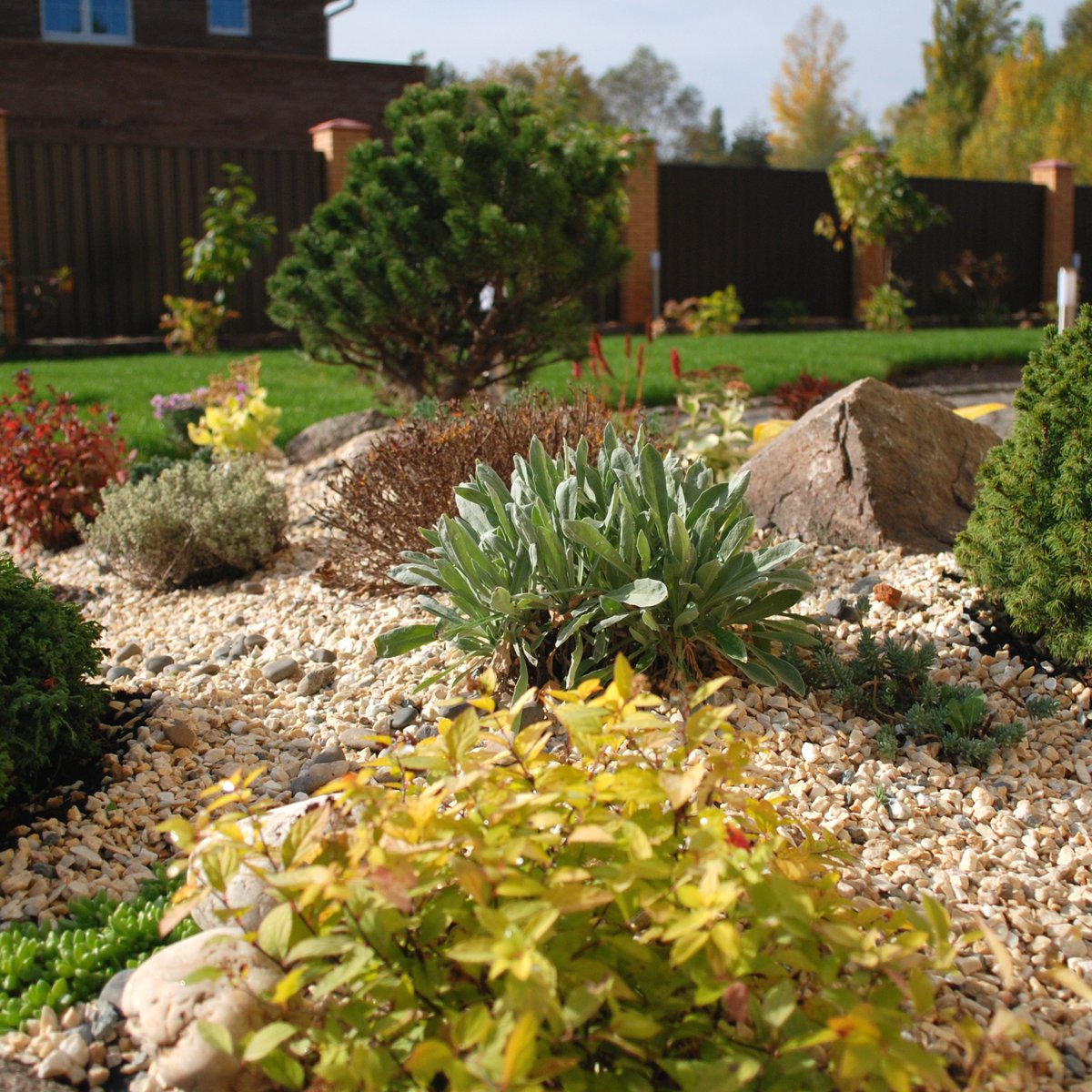 Клумба с хвойниками с корой и Галькой