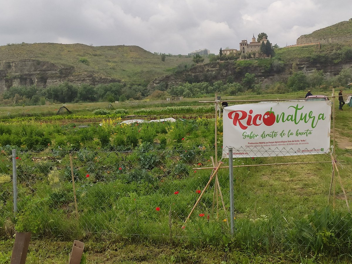 juralde's tweet photo. Hoy visitamos el parque agroecológico de Rivas.

🌾🍅Es fundamental que en Madrid se apoye a las personas que se dedican a la agricultura y la ganadería para que tengamos productos de proximidad, generando además empleo verde y cuidando nuestro territorio y medio ambiente https://t.co/aHM5Ve3JQS