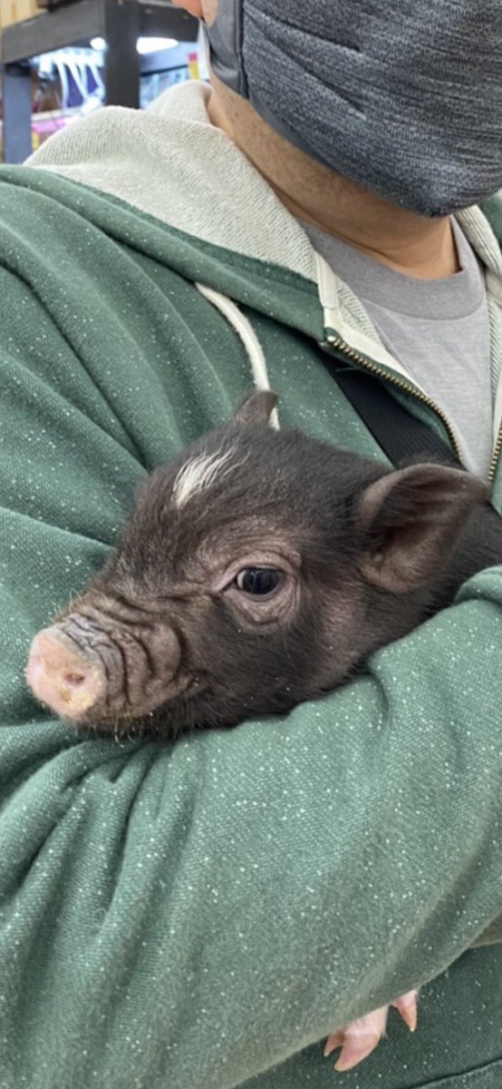 マッドマン葛西店 Kasai Mudman Twitter