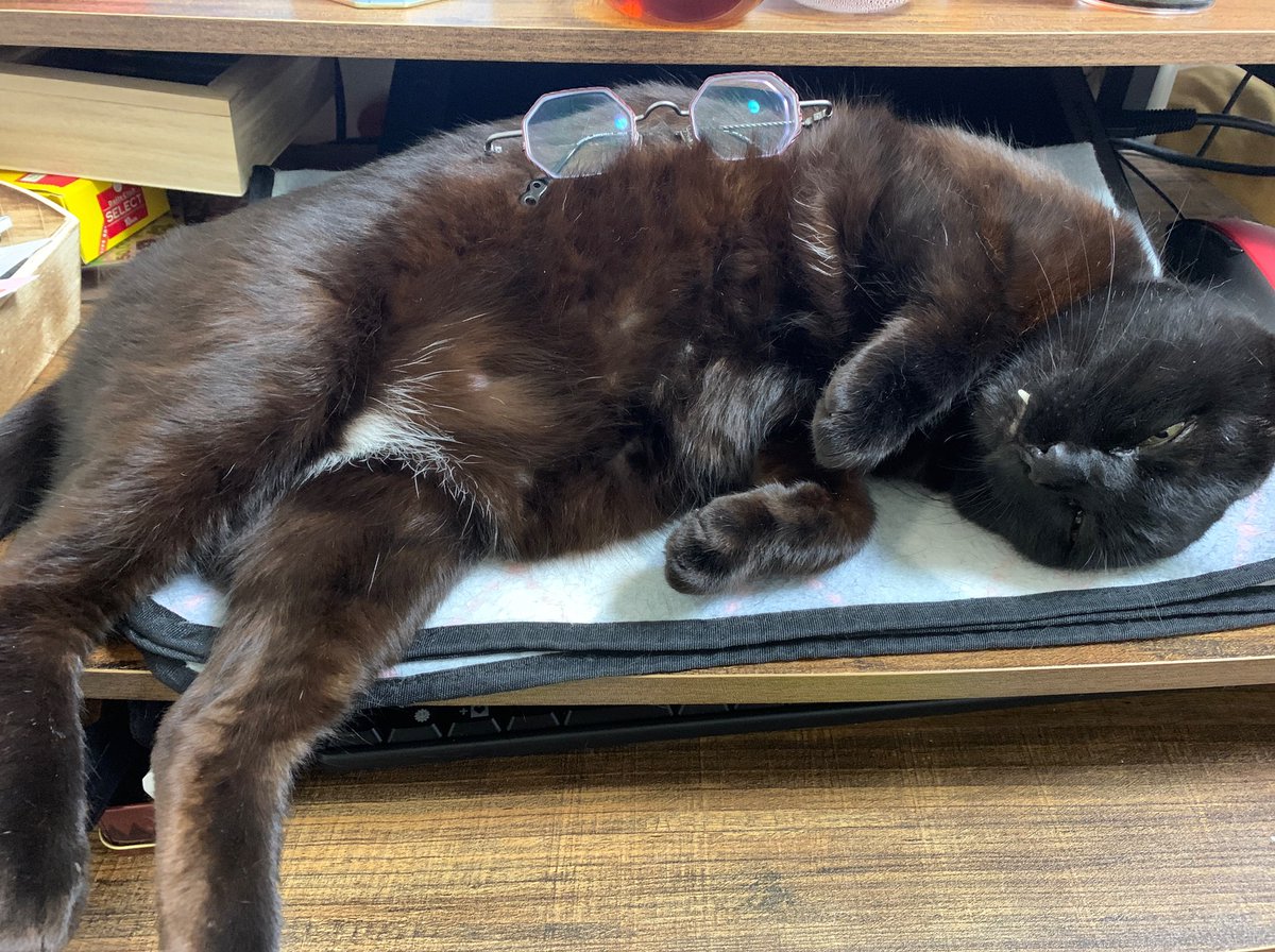 新人の机の中から書き損じたレターパック 五千円分 が発掘された話 ゴミ箱から発掘 上司がやってた Togetter