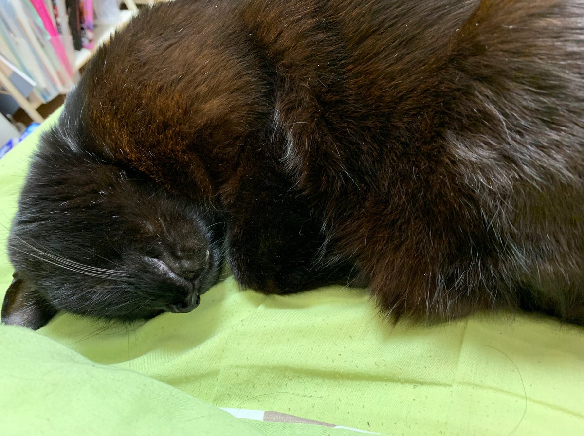 新人の机の中から書き損じたレターパック 五千円分 が発掘された話 ゴミ箱から発掘 上司がやってた Togetter