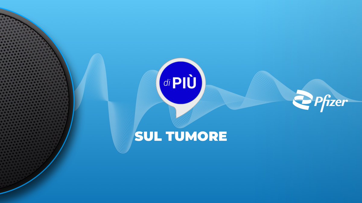 Digitouch tweet media