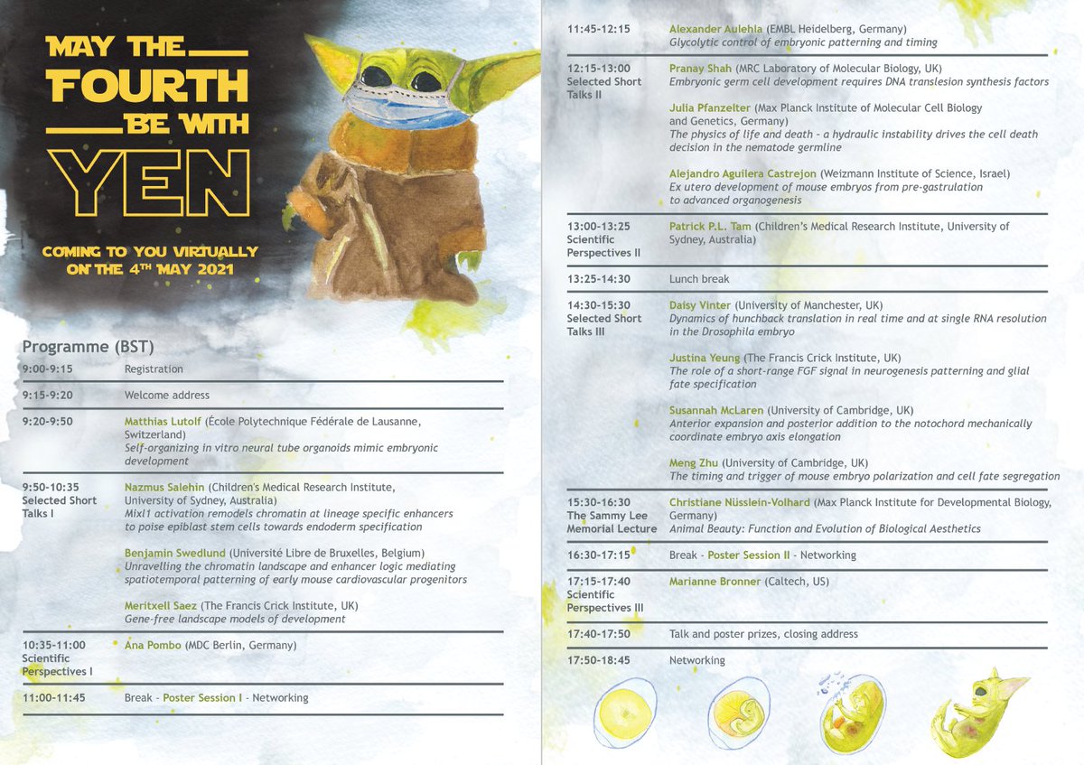 Last week to register for #YEN2021 ⚠️ Don't miss the chance to e-meet other early career researchers in the #devbio field youngembryologists.org/yen-2021/