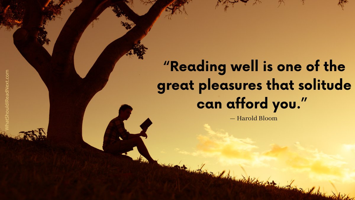 What Should I Read Next tweet media