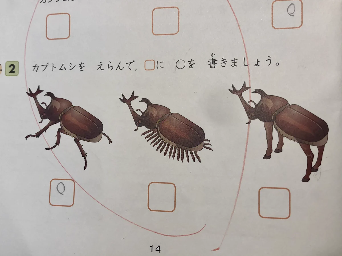 カブトムシを選ぶ問題に親子で爆笑！！足が、足がおかしいwww