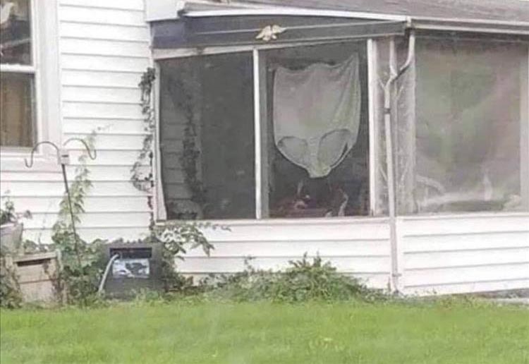 ALPacaUrfudge's tweet photo. #WhyWasntITaughtThat you shouldn't air your dirty laundry in public. https://t.co/rkiHr7wofU