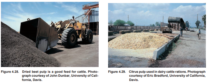 Globally, for every 100 lbs. of human food that comes from crops, 37 lbs. of byproducts are generated. Much of that goes to livestock for feed. Some examples below of solar energy captured by plants that's unavailable to us without livestock upcycling it. https://www.cast-science.org/wp-content/uploads/1999/07/CAST_R135_Animal-Agriculture-and-Global-Food-Supply.pdf