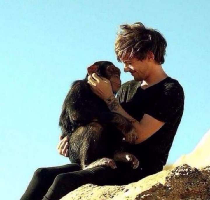 Lou being babie. A thread: