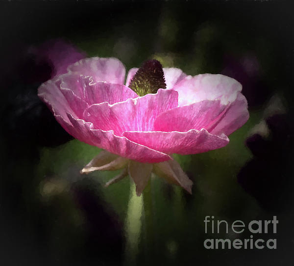 New artwork for sale! - "Stillness" - fineartamerica.com/featured/still… <a href="/fineartamerica/">Fine Art America</a>
