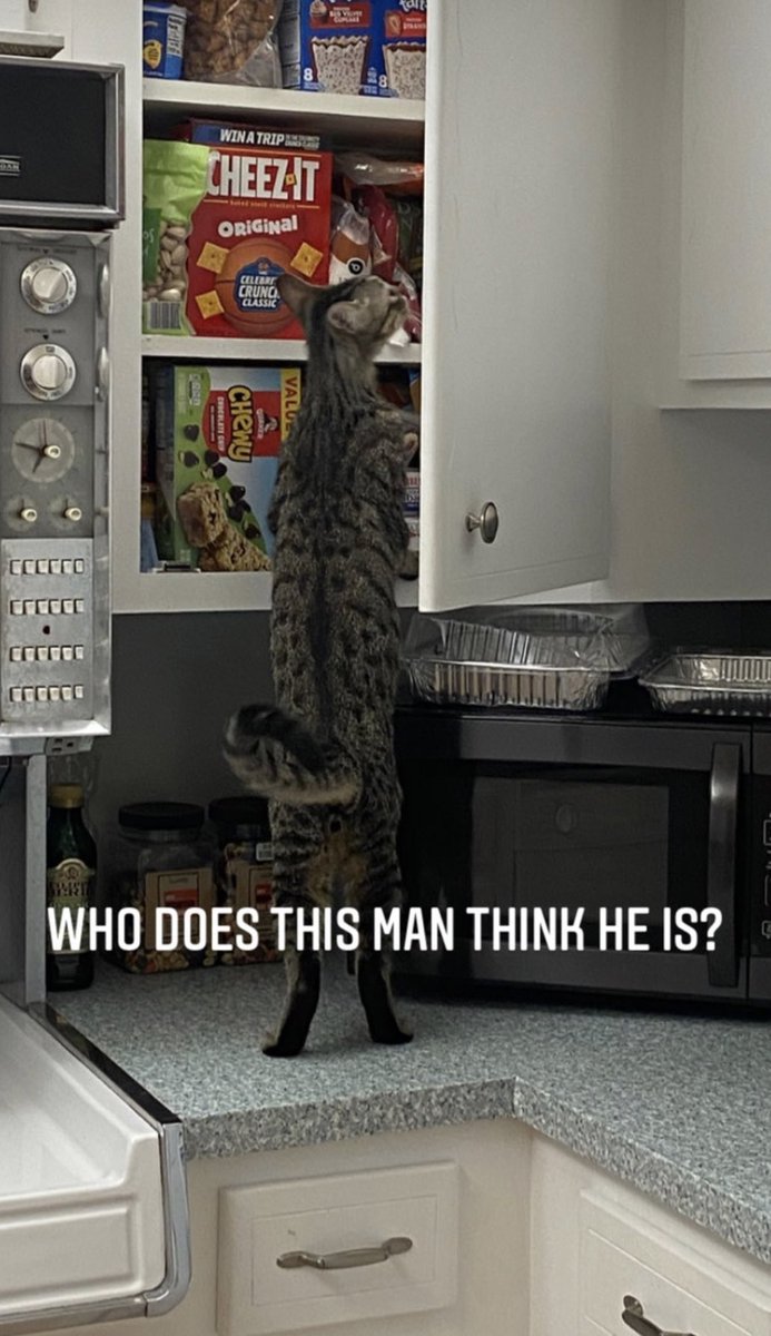 byeshy's tweet image. “have to get everything in this god damn house myself”