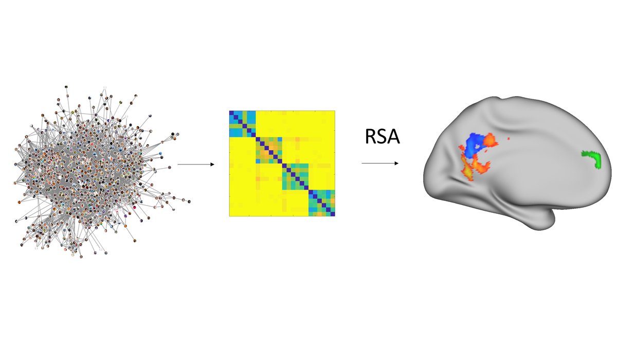 Michael Peer (@michael_peer_) on Twitter photo New paper! Brain representations of real-life social networks. Joint work with <a href="/HaymanMordechai/">Mordechai Hayman</a>, <a href="/BarTamir5/">Bar Tamir</a> and <a href="/ShaharArzy/">Shahar Arzy</a>. Now out in <a href="/SfNJournals/">SfN Journals</a> #JNeurosci : jneurosci.org/content/early/… New paper! Brain representations of real-life social networks. Joint work with <a href="/HaymanMordechai/">Mordechai Hayman</a>, <a href="/BarTamir5/">Bar Tamir</a> and <a href="/ShaharArzy/">Shahar Arzy</a>. Now out in <a href="/SfNJournals/">SfN Journals</a> #JNeurosci : jneurosci.org/content/early/…