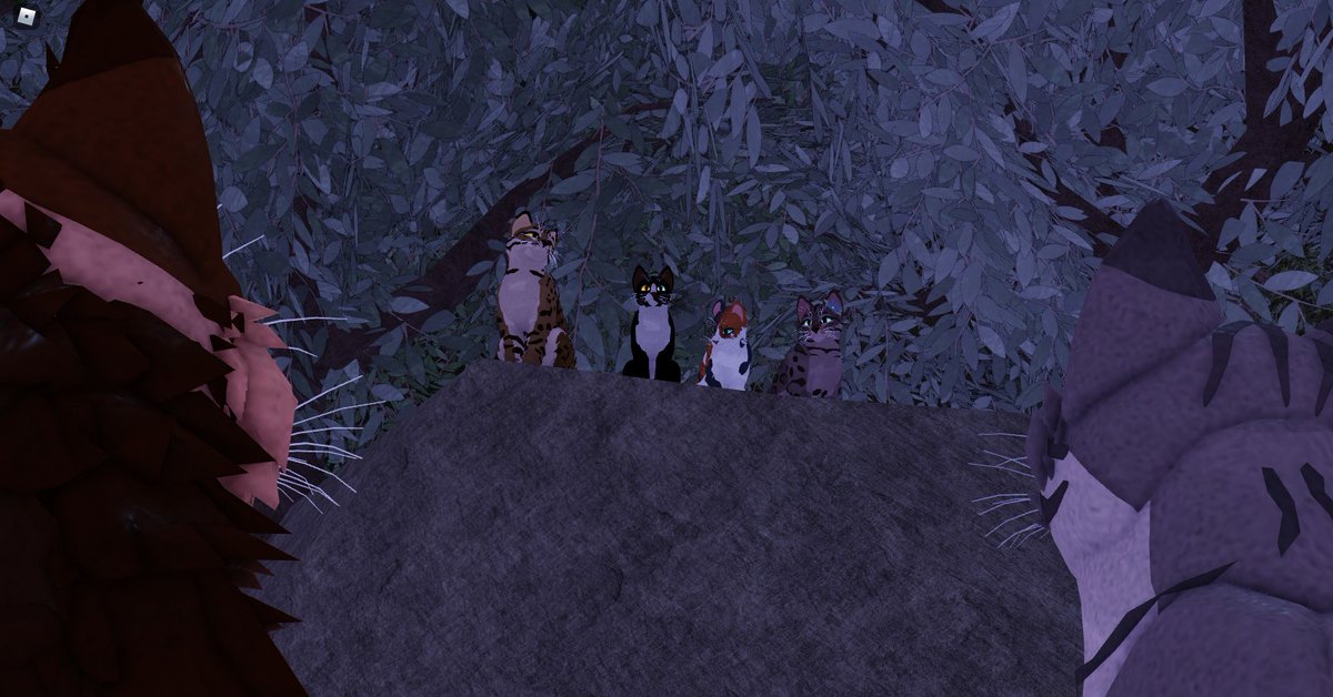 Warrior Cats Ultimate Edition On Twitter The Leaders Robloxdev Roblox Warriorcats - good warrior cat ocs on roblox