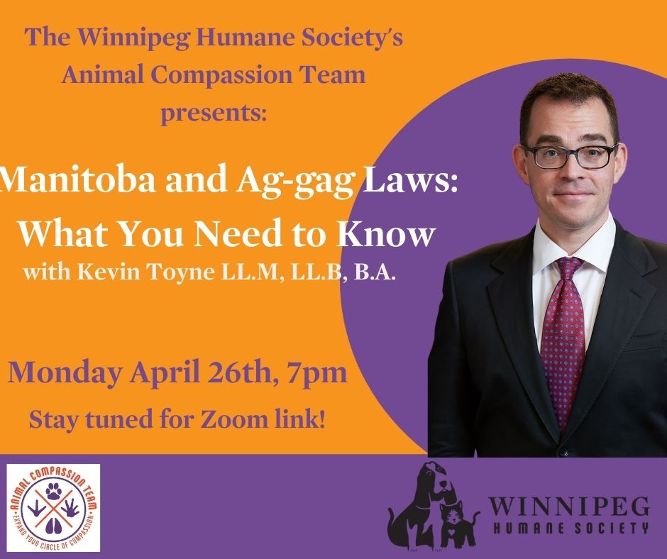 Tonight! Join local lawyer Kevin Toyne at 7pm CST, as he examines provincial and federal ag-gag legislation and the impact such laws would have on Manitobans and farm animals alike. https://t.co/NALdOJq9oc https://t.co/DZc0PVdiVk