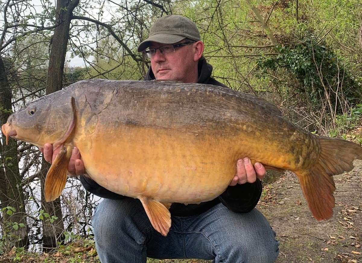cherry_carp's tweet photo. Colin at Rodney Meadow Syndicate is getting amongst them with the MeatyMite Plum!

33lb - Great Darts Sir! https://t.co/viwd8zjl3y