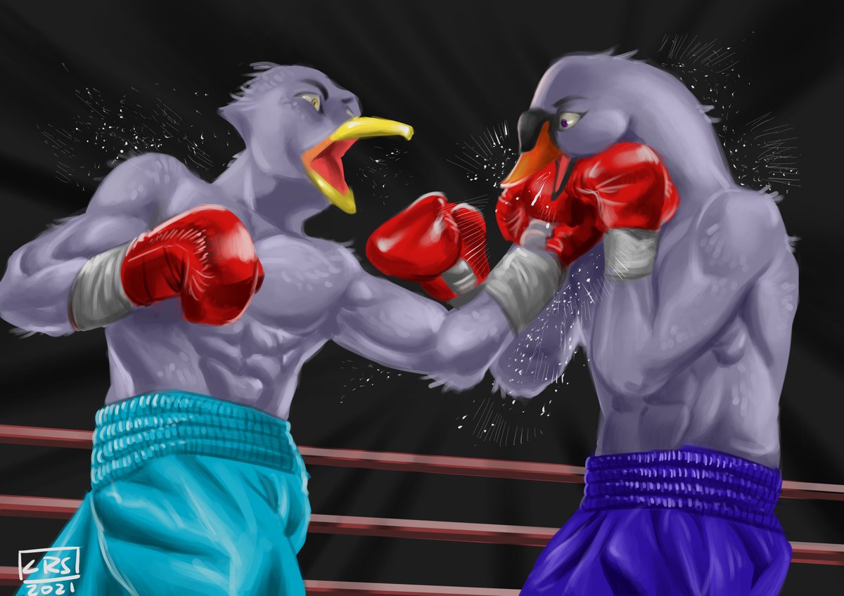 BirdFight!!!