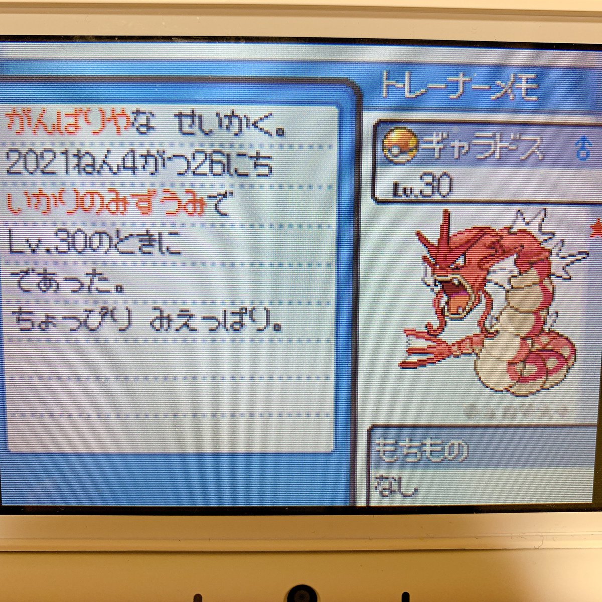 コトネ マーシャドー ポッポくんはピジョンからピジョットへと進化して 逞しくなってくれました アリゲイツくんはオーダイルに 進化してかっこよくなりました いかりの湖にてギャラドスを捕獲っ まあ一応色違いなので ね コトネの色旅 コトネ マーシャドー ポッポくんはピジョンからピジョットへと進化して 逞しくなってくれました アリゲイツくんはオーダイルに 進化してかっこよくなりました いかりの湖にてギャラドスを捕獲っ まあ一応色違いなので ね コトネの色旅