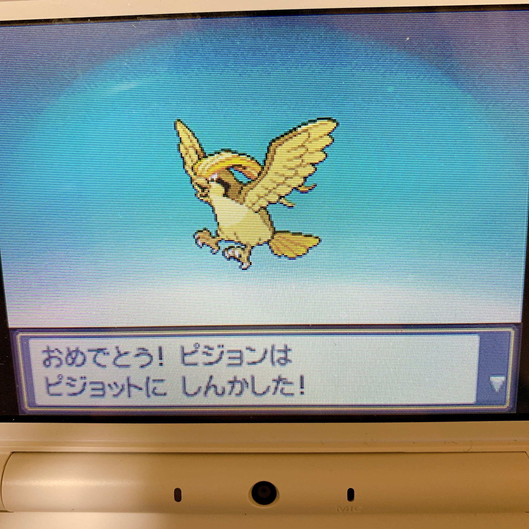コトネ マーシャドー ポッポくんはピジョンからピジョットへと進化して 逞しくなってくれました アリゲイツくんはオーダイルに 進化してかっこよくなりました いかりの湖にてギャラドスを捕獲っ まあ一応色違いなので ね コトネの色旅