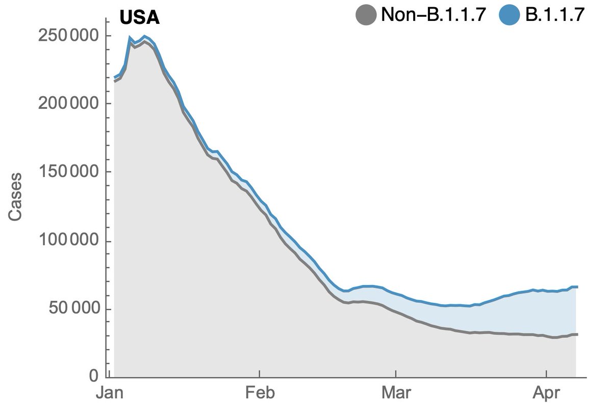 This is showing B.1.1.7 cases in blue stacked on top of non-B.1.1.7 cases in gray, where it's clear that non-B.1.1.7 cases have continued to decline, while B.1.1.7 cases have continued to increase. 5/10
