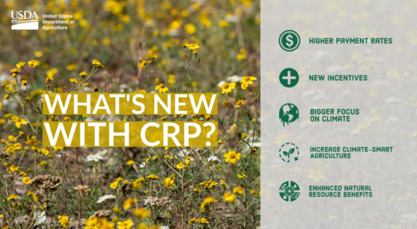 LaCrosseSeed's tweet photo. What's New With #CRP?๐ Find outโก๏ธ https://t.co/9WAgNCPokO๐ฑ@USDA
Your land is enrolled in CRP. Now what?๐ https://t.co/RdlPWumpLU๐ผ#NativesFirst #sustainability https://t.co/iFECDXbCke