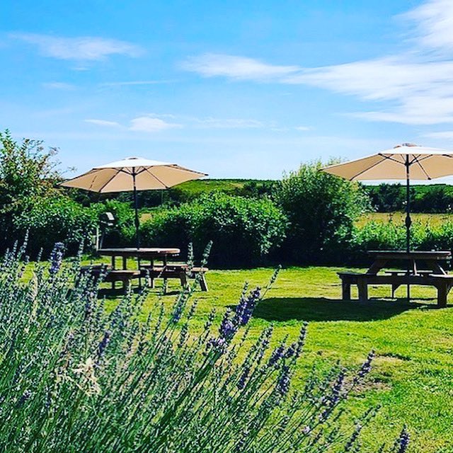 We are slightly changing our opening time for the cafe including the takeaway window when we first reopen on 1st May to 8am everyday.  Normal hours will resume as soon as we can serve you indoors as well. 🙂