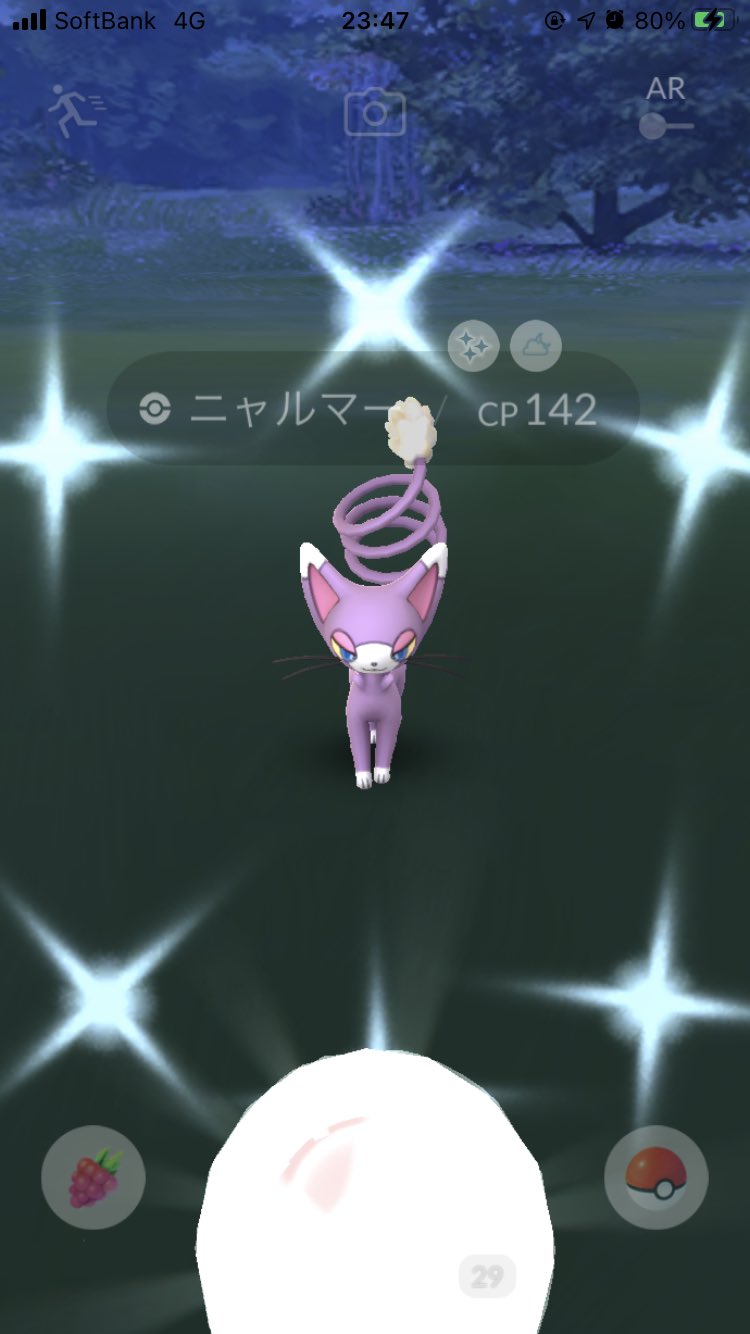 Y ニャルマー色違い 進化させへん方が100可愛いから 一生進化させません 笑 ポケモンgo 色違い ニャルマー T Co Xvawoozcnw Twitter