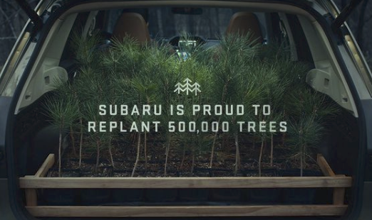 FlowSubaru's tweet photo. Subaru is proud to help replant 500,000 trees on our National Forests in partnership with @NationalForests.
. . .

#FlowSubaru #WSNC https://t.co/JNJFDRMUcL