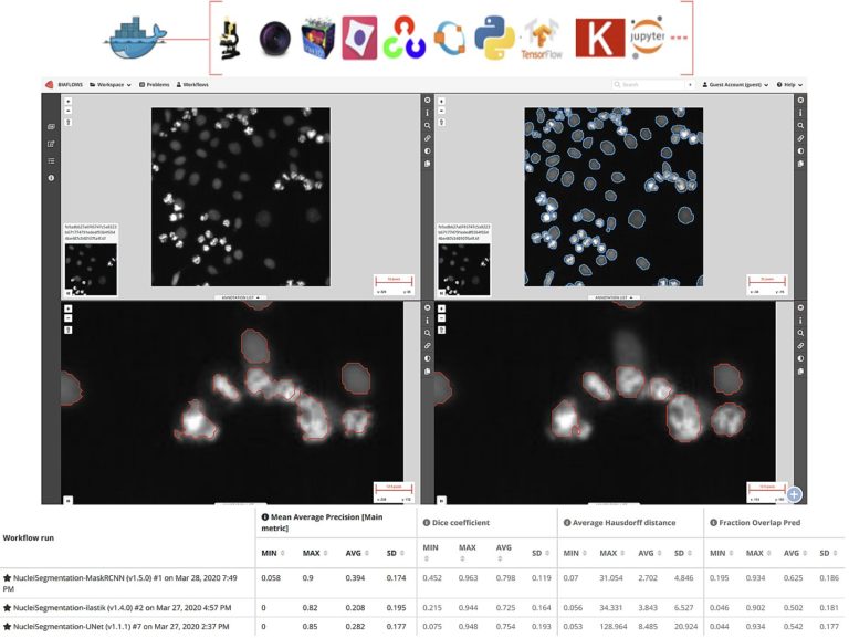 📢 Announcing 2 @NEUBIAS_COST Academy webinars on <a href="/cytomine/">Cytomine</a> &amp; #Biaflows by R. Marée, <a href="/gregoirevincke/">Grégoire Vincke</a> &amp; <a href="/sebastien_tosi/">Sébastien Tosi</a>.
Large images, annotations, benchmarking #BioimageAnalysis workflows &amp;more!
📆May 4th&amp;11th 3.30-5pm CEST (Brussels time)
✍️Registrations: neubiasacademy.org