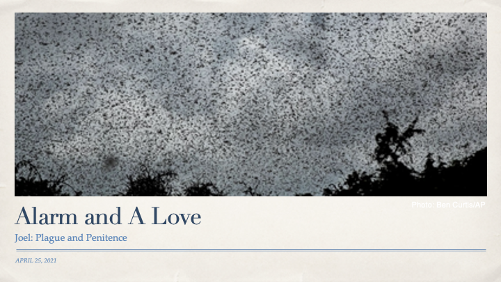 We are continuing our sermon series in the book of Joel. Download, watch, or listen to Sunday's sermon on our website. 

newcityhamilton.com/sermons/alarm-…