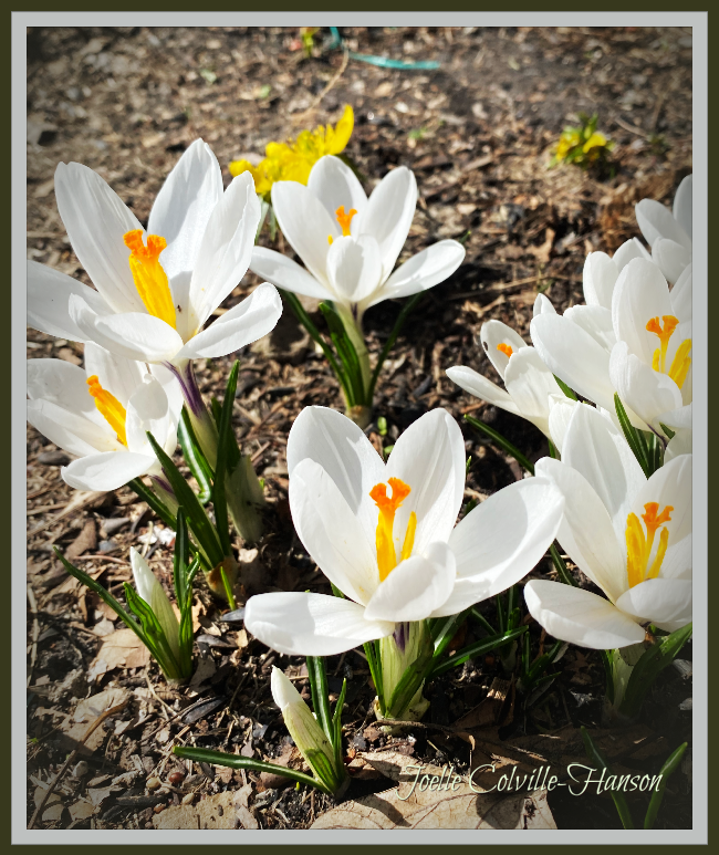 Have you seen our latest news? conta.cc/39yuyU8