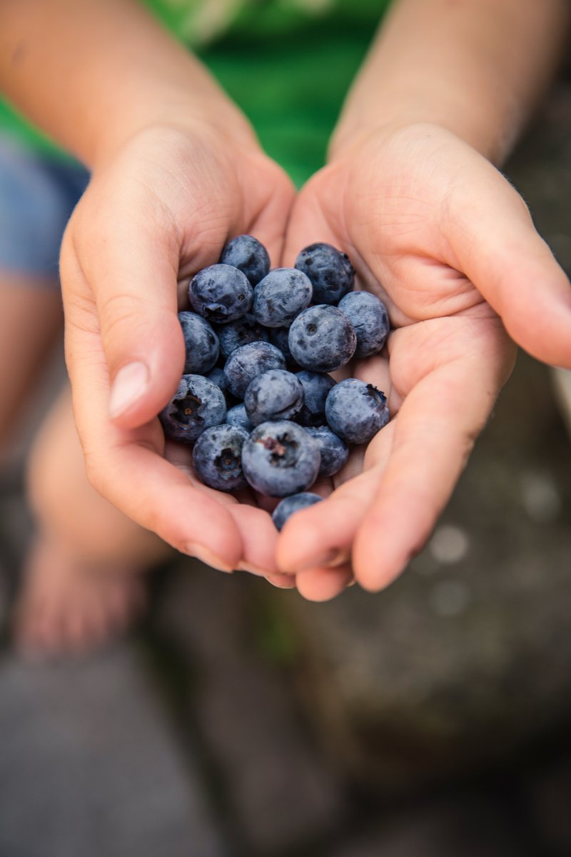 Now has never been a better time to shop fresh produce at our awesome Farmers Markets! Find one near you! georgiagrown.com/find-georgia-g…