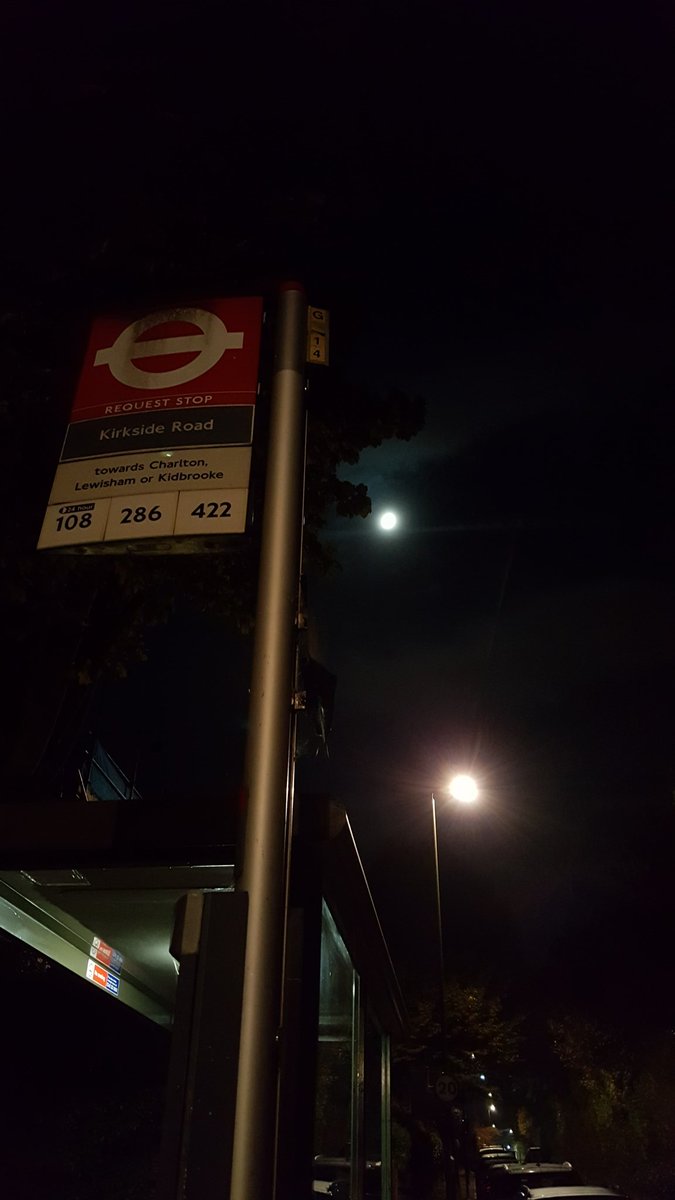 Sort of related... photos snapped of my beloved Kirkside Rd bus stand and my little fox friend! He/She was happy to see me the following week with snacks in hand.  I was happy to not potentially see the train people I'd embarrassed myself in front of the week before. 