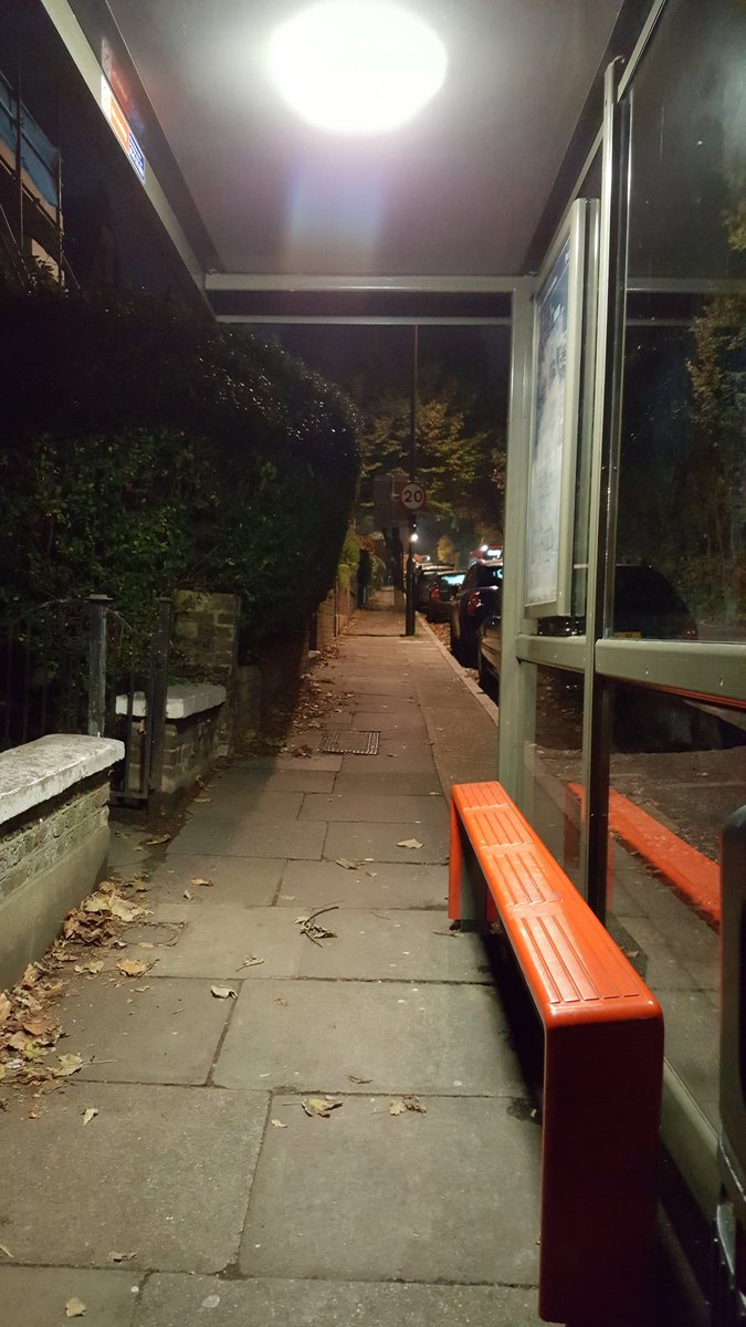 Sort of related... photos snapped of my beloved Kirkside Rd bus stand and my little fox friend! He/She was happy to see me the following week with snacks in hand.  I was happy to not potentially see the train people I'd embarrassed myself in front of the week before. 