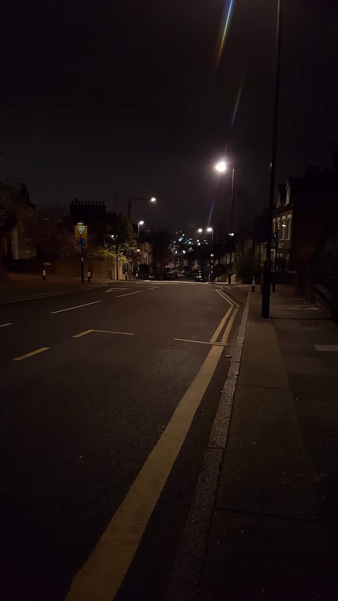 Sort of related... photos snapped of my beloved Kirkside Rd bus stand and my little fox friend! He/She was happy to see me the following week with snacks in hand.  I was happy to not potentially see the train people I'd embarrassed myself in front of the week before. 