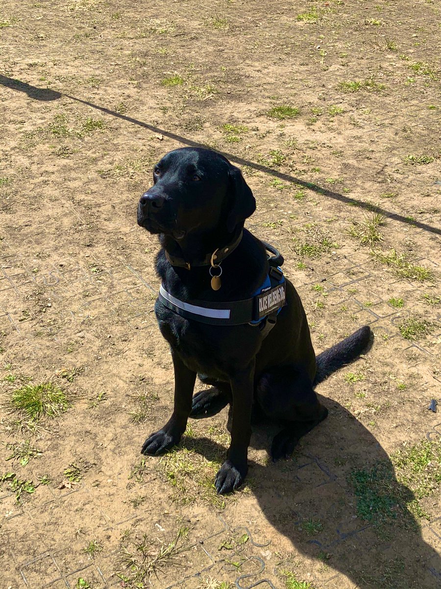BHRUT Trust Temps (@bhruttrusttemps) on Twitter photo We hope you took time to enjoy the <a href="/metpoliceuk/">Metropolitan Police</a> animals today at <a href="/BHRUT_NHS/">BHRUT NHS ๐ฅ</a> Queens Hospital! Definitely put a smile on many faces (under their masks)! Look out for more events this week! #teamBHRUT #thankyouweek We hope you took time to enjoy the <a href="/metpoliceuk/">Metropolitan Police</a> animals today at <a href="/BHRUT_NHS/">BHRUT NHS ๐ฅ</a> Queens Hospital! Definitely put a smile on many faces (under their masks)! Look out for more events this week! #teamBHRUT #thankyouweek