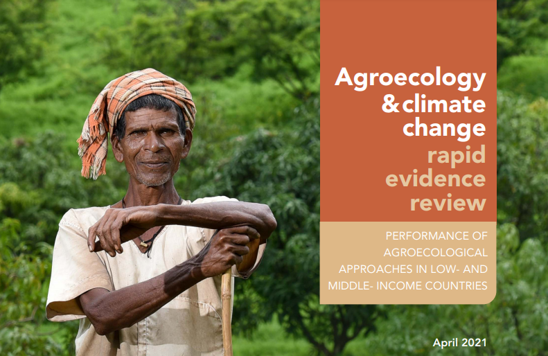 biovision_org's tweet photo. 🆕@CGIARclimat's "#Agroecology and Climate Change Rapid Evidence Review"

The report shows that promoting agricultural diversity can be a scalable intervention &amp; governments, donors &amp; policymakers should create incentives &amp; capacity to support this.👉https://t.co/2VrFOI0jLG https://t.co/mXKpFlTArU