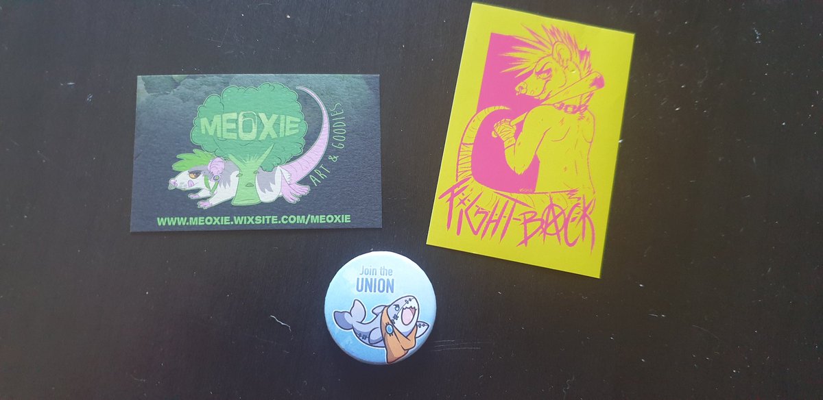 Bean01Lee's tweet photo. Items about the #Sharkcon3, big thanks to @Meoxie ^^
#furryart #furryfandom #furry #unionteam https://t.co/GrosLSycKU