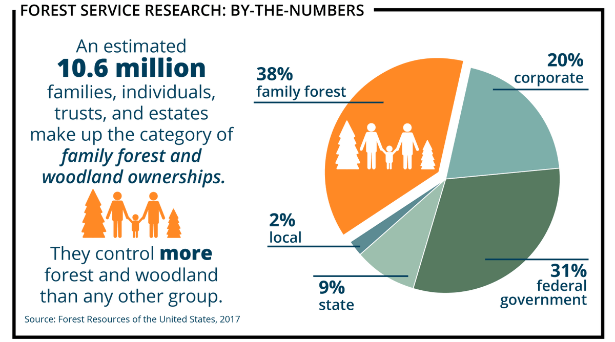 AmericanHardwds's tweet photo. We see trees every day, but have you ever wondered who owns them? According to the @forestservice roughly 10.6 million families, individuals, and estates own 38% of all forests and woodlands.
#familybusiness #foresthealth #healthyforests #managedforests https://t.co/cBE0Sxsd8d