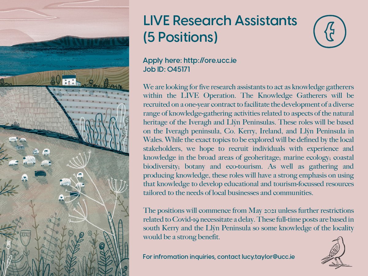 Closing date for our Research Assistant positions is this Thursday, 29th April 2021. Details on our website, but you must apply through through @UCC
my.corehr.com/pls/uccrecruit…

@IveraghTaskForc @CoastSkellig @KerryETB #Kerryjobs #Greenjobs #Vacancy #Jobfairy #EcoJobs #EUIrelandWales