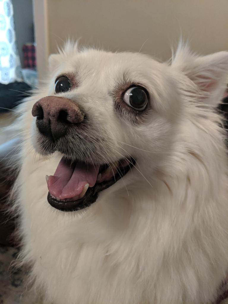 Mrs. Mandy Law tweet media